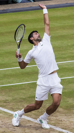 Image of Novak Djokovic