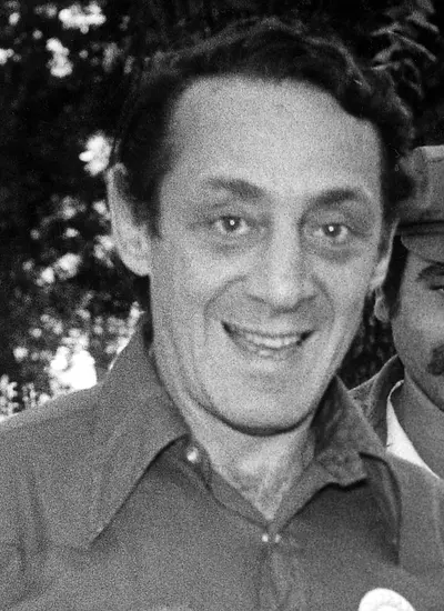 Image of Harvey Milk