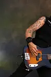 Image of Mike Dirnt