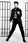 Image of Elvis Presley
