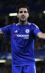 Image of Cesc FΓ bregas