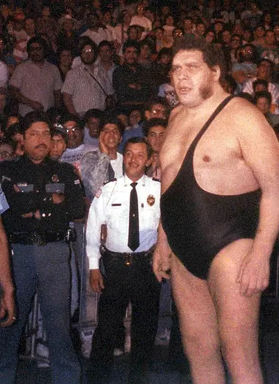 Image of André the Giant