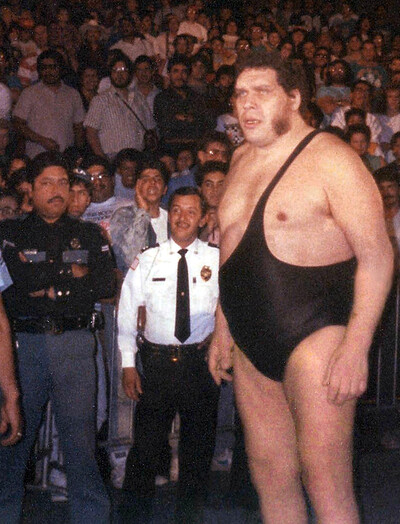 Image of André the Giant