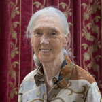 Image of Jane Goodall